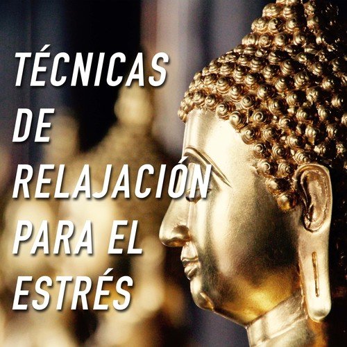 Relajación: Música para la Ansiedad