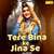 Tere Bina Ke Jina Se