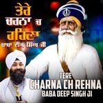 Tere Charna Ch Rehna