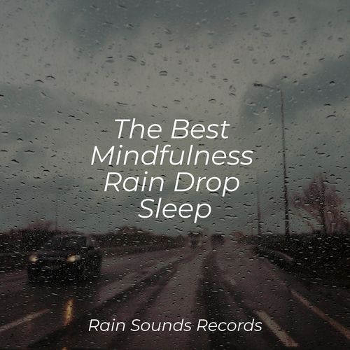 The Best Mindfulness Rain Drop Sleep