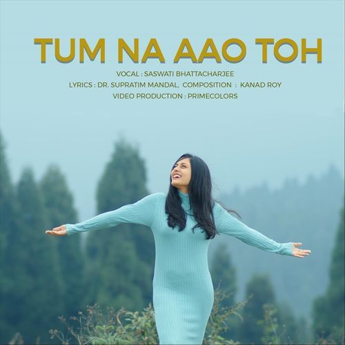 Tum Na Aao Toh_poster_image