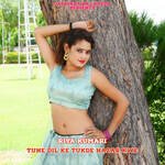 Tune Dil Ke Tukde Hazar Kiye