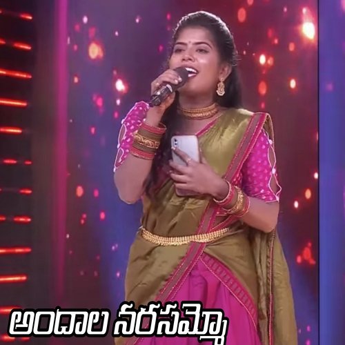 Andaala Narasammo cover art