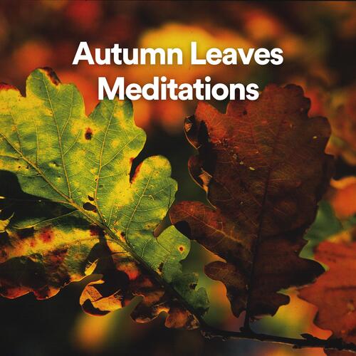 Autumn Leaves Meditations (Music for Autumn afternoons)