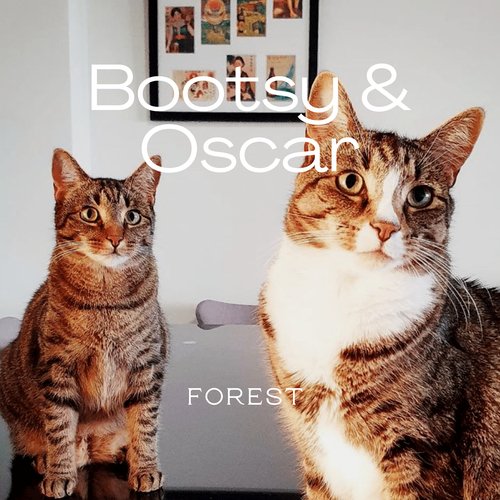 Bootsy & Oscar