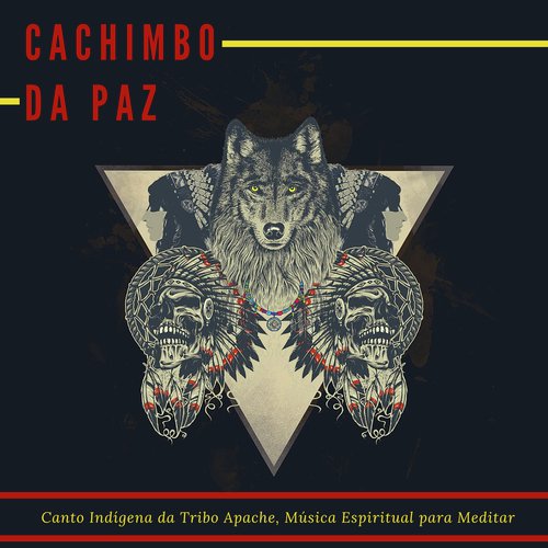 Poder Xamânico cover art