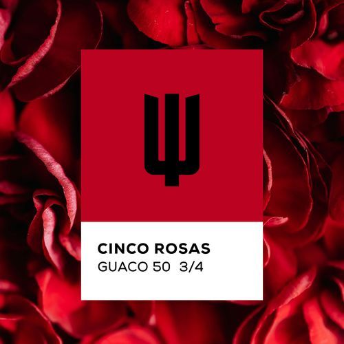 Cinco Rosas_poster_image