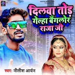 Dilwa Tod Chali Gelo Benglor Raja Ji-Hx87cD9-ZQc