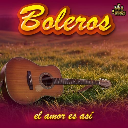Porque No Pude Enamorarme Mas