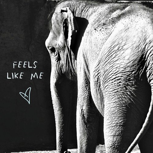 Feels Like Me_poster_image