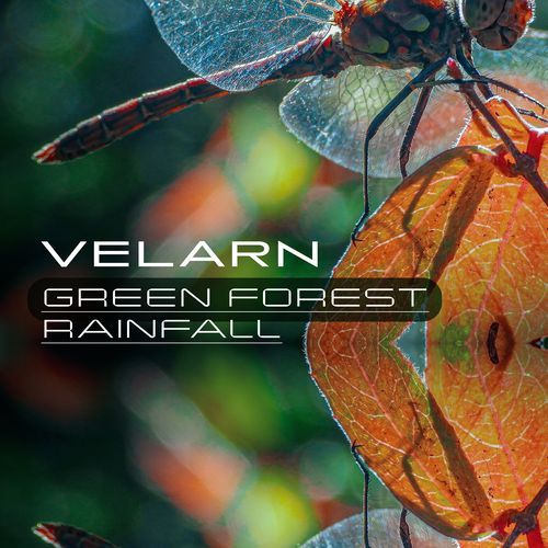 Green Forest Rainfall