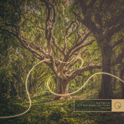 It's Not What You Think