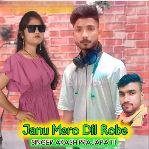 Janu Mero Dil Robe