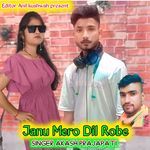 Janu Mero Dil Robe