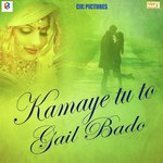 Nik Lage Nahi Holi