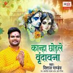 Kanha Chhodle Vrindavanva