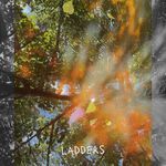 Ladders