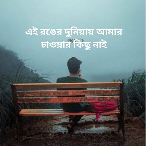 এই রঙের দুনিয়ায় আমার চাওয়ার কিছু নাই