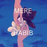 Mere Habib