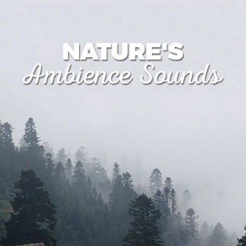 Nature's Ambience Sounds