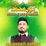 Noor E Muhammad