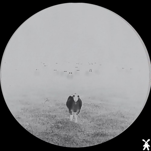 Milczenie (Original Mix) cover art