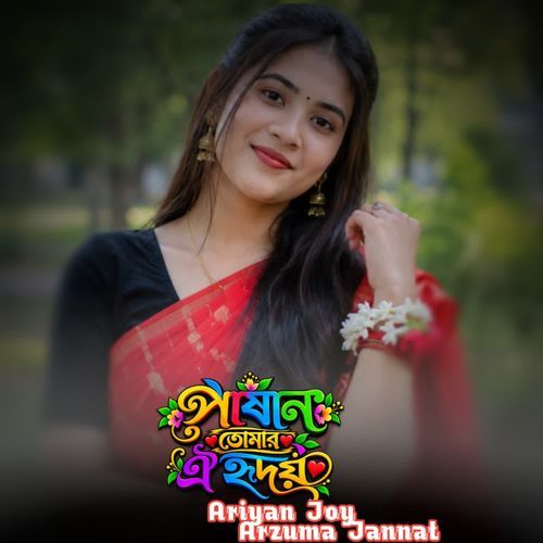 Pashan Tumar Oi Ridoy