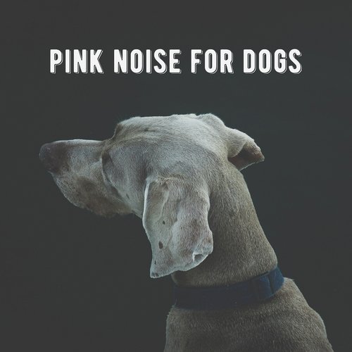 Pink Noise for Dogs: Quiet Time