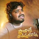 Pranale Pothunnayamma