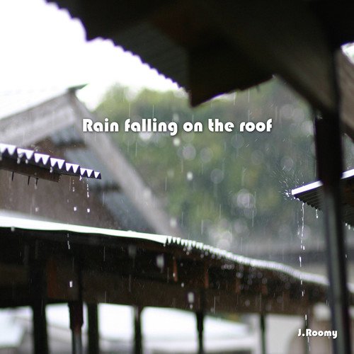 Rain Falling On The Roof_poster_image