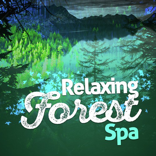 Relaxing Forest Spa_poster_image