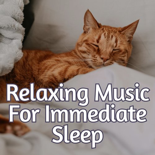 Relaxing Music For Immediate Sleep_poster_image