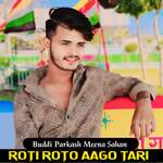 Roti Roto Aago Tari artwork