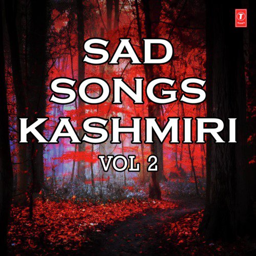 Sad Songs - Kashmiri Vol-2