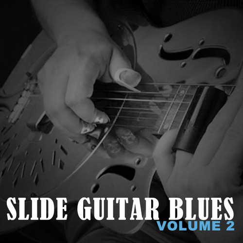 Slide Guitar Blues, Vol. 2