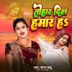Tohar Dil Hamar H