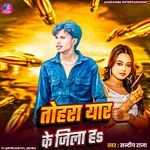 Tohara Yaar Ke Jila Ha