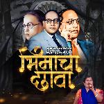 Tumchya Lakhala Bhari Padal Bhimacha Chhava