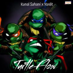 Turtle Flow-GFoOfUBqA1Q