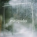 estúpido