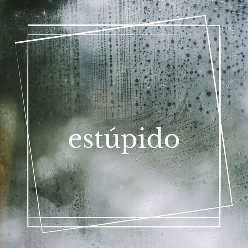 estúpido