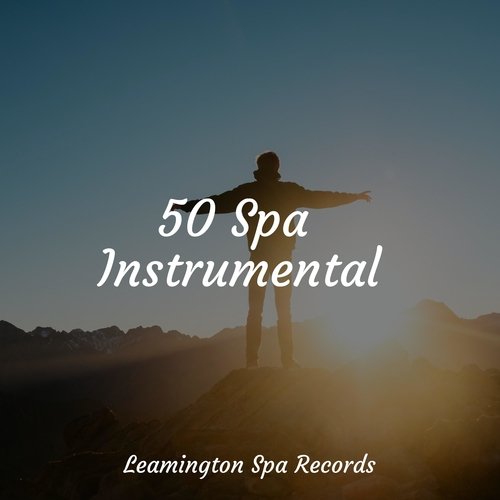 Massage Therapy cover art