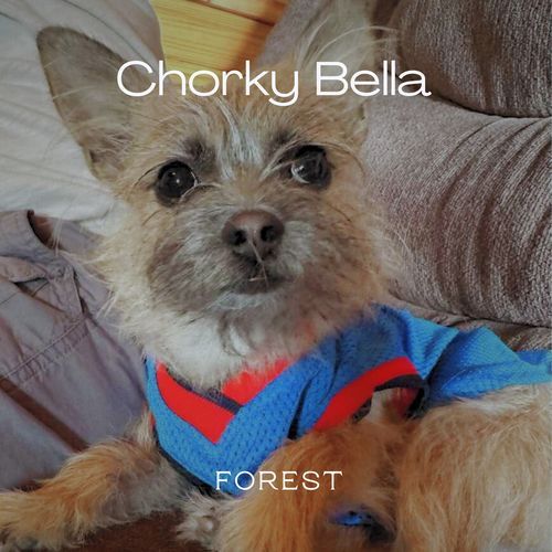 Chorky Bella