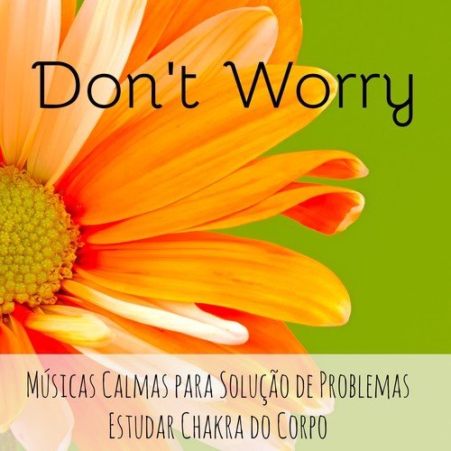 Don't Worry - Músicas Calmas para Solução de Problemas Estudar Chakra do Corpo con Sons da Natureza Instrumentais New Age de Meditação