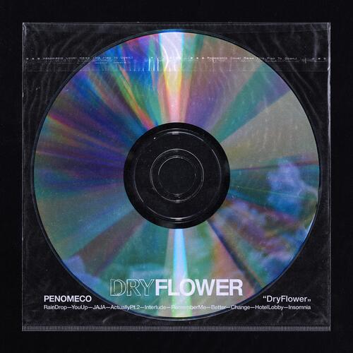 Dry Flower_poster_image