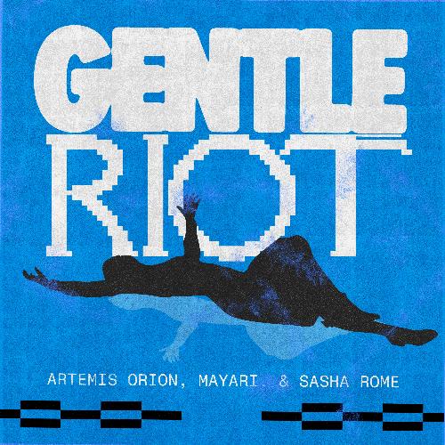 Gentle Riot_poster_image