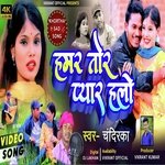 Hamra Tore Pyar Halo