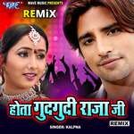 Hota Gudgudi Rajaji - Remix artwork