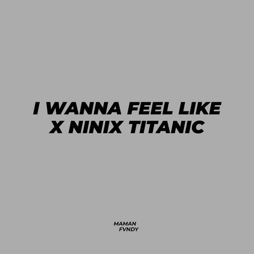 I Wanna Feel Like X Ninix Titanic (Maman Fvndy Remix)