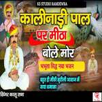 Kalinadi Paal Par Mitha